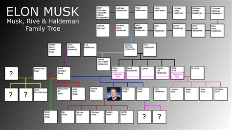 Albero genealogico di Elon Musk