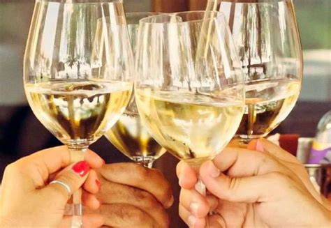 Brindisi tra amiche in cantina