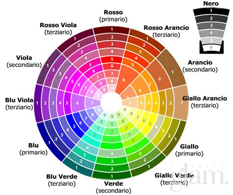 Schema della ruota dei colori con viola e giallo opposti