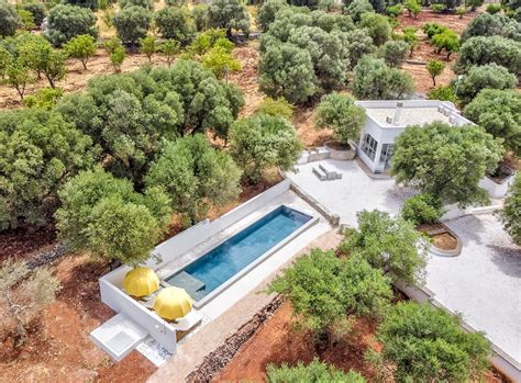 Masseria pugliese con ulivi secolari