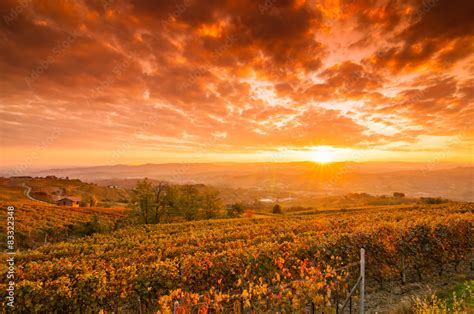 Vigneti al tramonto in Puglia