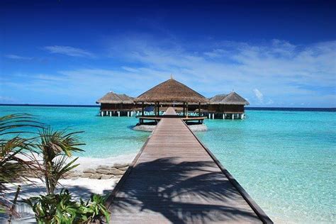 Infografica sui costi di viaggio alle Maldive
