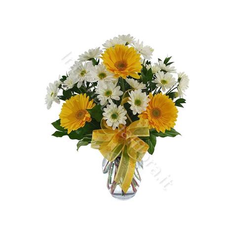 bouquet di gerbere bianche