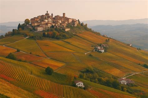 Paesaggio viticolo delle Langhe