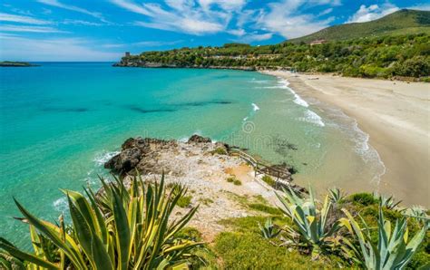 Paesaggio mediterraneo di Maccarese