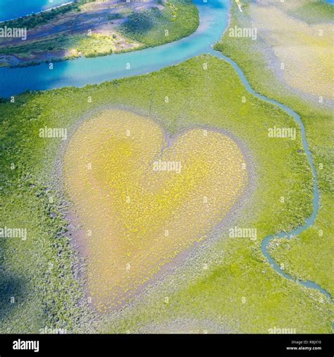Cuore di Voh formato da mangrovie visto dall'alto