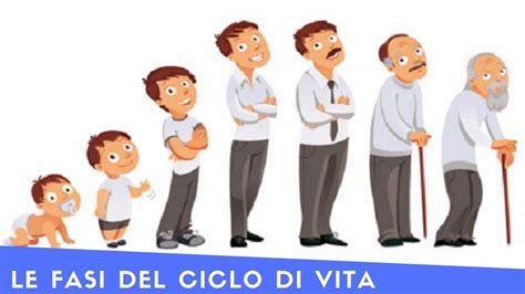 Illustrazione che rappresenta il ciclo della vita e della morte