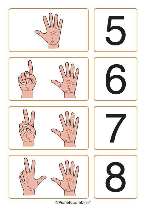 Grafica che illustra le mani e le dita con i loro significati simbolici