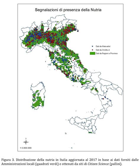 Mappa di distribuzione del nibbio bruno in Europa