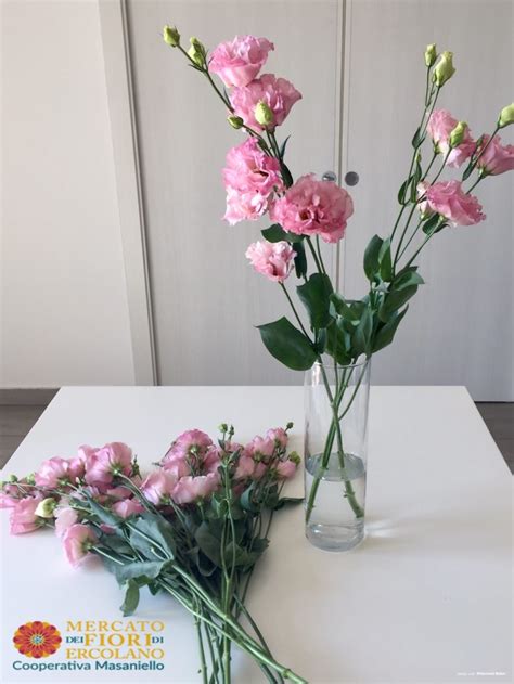Vaso con fiori di lisianthus recisi