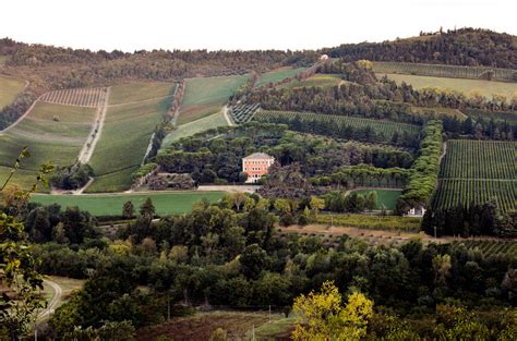 Villa Pandolfa con vigneti circostanti