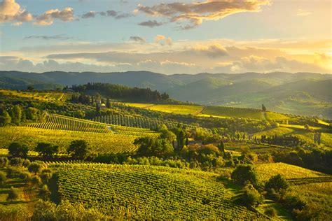 Panorama delle colline del Chianti con vigneti