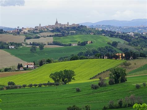 Vista panoramica delle colline marchigiane con agriturismo