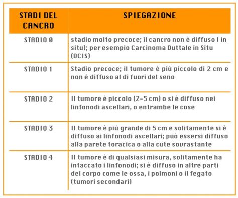 Schema degli stadi del tumore al seno
