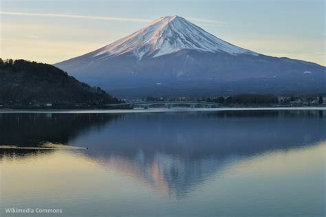Vista del Monte Fuji con un lago e alberi in primo piano