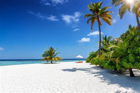 Spiaggia tropicale alle Maldive con palme, sabbia bianca e mare turchese