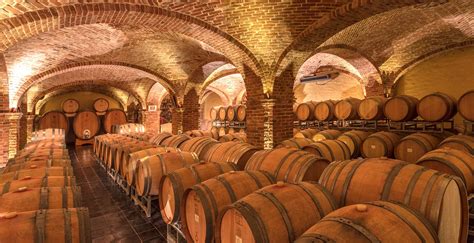Cantina con vigneti