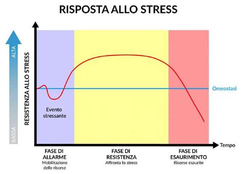 Schema delle fasi di risposta a uno stressor