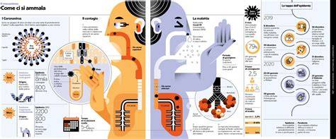 Infografica che illustra le fasi principali dell'organizzazione di un matrimonio.